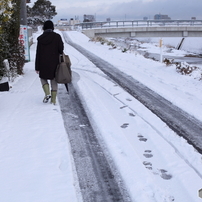 雪の日