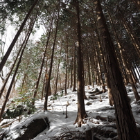 20170212岩湧山3of8