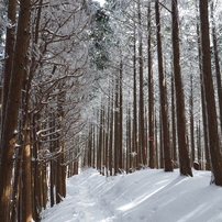 20170212岩湧山4of8