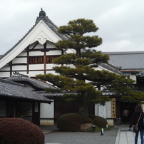 大覚寺: 入り口