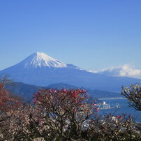 【作例あり】Canon Powershot SX610 HS コンデジ CANON PowerShot SX610 HS [ホワイト]で撮影された写真 - 価格.com