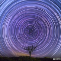 枯れ木に星を・・・Ⅱ