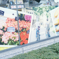 CANON(キヤノン)のフィルムカメラII S改(2S改)型 で撮影した写真(画像