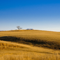 大地の写真 画像 写真集 写真共有サイト Photohito