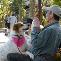 【完動品】PENTAX Optio VS20 作例あり ペンタックス Optio VS20 価格比較 - 価格.com