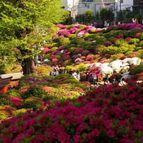 根津神社