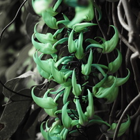 水生植物園みずの森