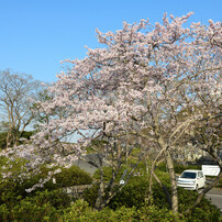 仏生山公園