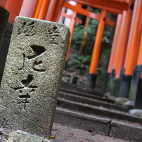 鳥居の回廊に差す光