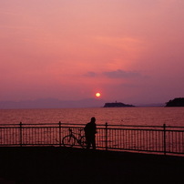 NIKON(ニコン)のフィルムカメラF70D PANORAMA で撮影した写真(画像