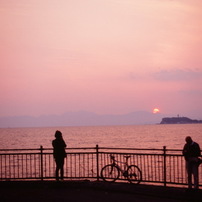 NIKON(ニコン)のフィルムカメラF70D PANORAMA で撮影した写真(画像