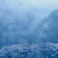 雨の印象