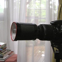 CANON(キヤノン)のデジタルカメラIXY DIGITAL 80 で撮影した写真