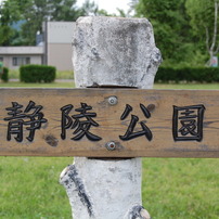 となる公園