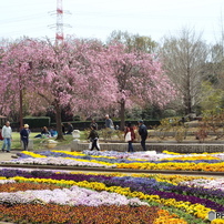 智光山公園1