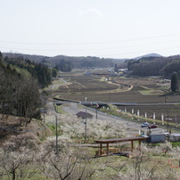 2010年03月