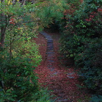 大河内山荘庭園なう