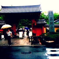 雨の薬師寺