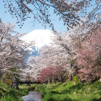 富士山 No.2