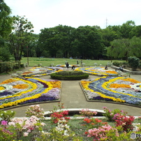 大花壇7
