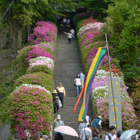つつじ_大興善寺_01