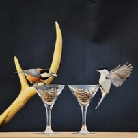 Welcome to Kikorin's Bar