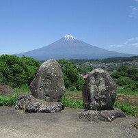 CANON(キヤノン)のデジタルカメラPowerShot SX610 HS で撮影した写真