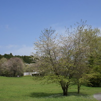 2010年04月