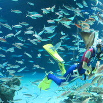 水族館