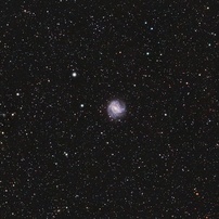 光害地で撮る天体―M83銀河