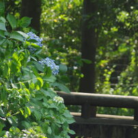 ♥︎◇近くも遠くもOK♪ ◇SIGMA 28-300mm PENTAX ◇美品 ♥︎◇近くも遠くもOK♪ ◇SIGMA 28-300mm PENTAX ◇美品