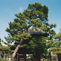 PENTAX(ペンタックス)のレンズ FAズーム20-35mmF4 AL で撮影した写真