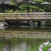 身近な風景　昭和記念公園