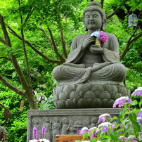 20170618 鎌倉 長谷寺