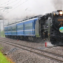 Ｄ５１４９８