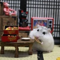 Hamuru03