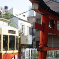 SAKURA TRAM