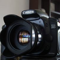CASIO(カシオ)のデジタルカメラEXILIM ZOOM EX-Z750 で撮影した写真