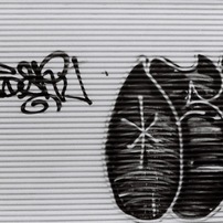  shutter