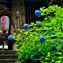 深緑の湖東三山　　金剛輪寺