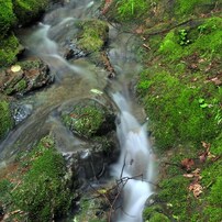 Clear stream