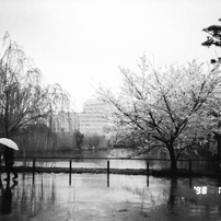 LEICA(ライカ)のフィルムカメラZ2X で撮影した写真(画像)一覧