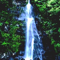 MAMIYA(マミヤ)のレンズ Mamiya Z 100-200mm F5.2W Zoom で撮影した