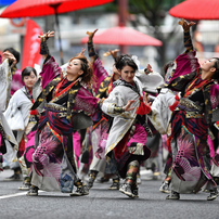 にっぽんど真ん中祭り2017