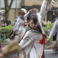 2017-ど真ん中祭り