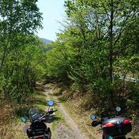 H.29.05.21地元林道