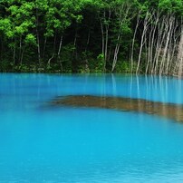 美瑛　ブルーリバーと青い池としらひげの滝