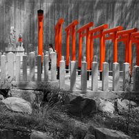 OTHERS(その他)のレンズ PROMINAR 12mm F1.8 MFT [ブラック] で撮影