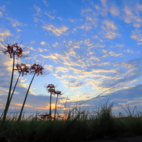 秋空