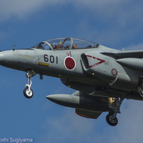 作例付き　TAMRON SP AF 300mm F/2.8 管mpr Equipment Review: Tamron 300mm f/2.8 - SCOTT SCHEETZ PHOTOGRAPHY